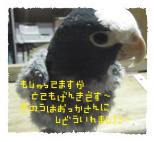 20100303-1.JPG