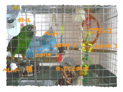 080618－3.JPG