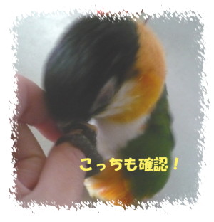 071220－2.JPG
