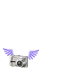 200223-2