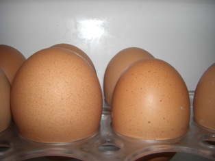 朝ごはんの赤卵