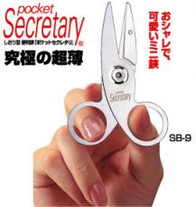 pocket_secreatry_hand