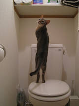 窓がにゃいです！