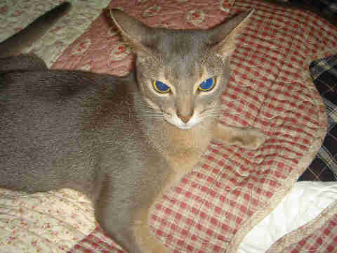 2007-09-27 ひとりり占めにゃーーーん！