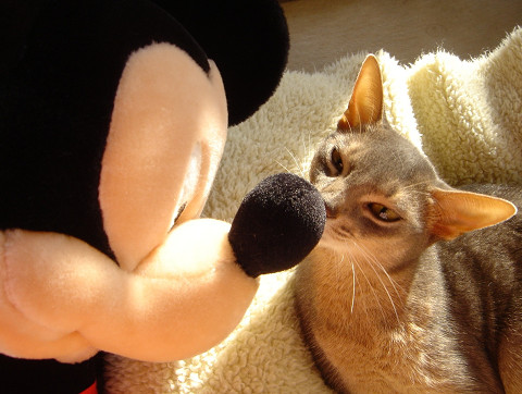 2007-12-26 ねずみにゃん！？