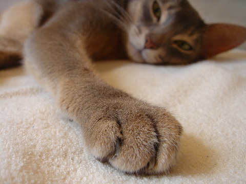 2007-09-16 握手しようにゃぁぁぁ～～♪