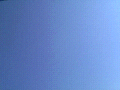 tibi青空2008_1121AA.jpg