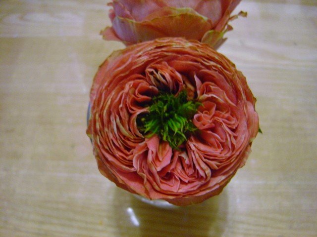 ﾋﾟﾝｸﾗﾅﾝｷｭﾗ