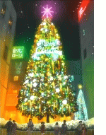 日昇族のクリスマスツリー☆