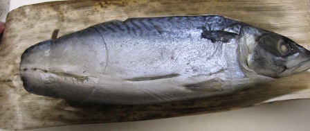 鯖寿司.JPG
