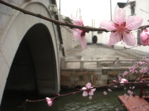 水のある光景.JPG