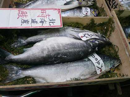 ☆築地場外市場 09-12-15