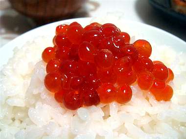 ☆ 今日､大晦日イブのディナー｢イクラ｣で乾杯！