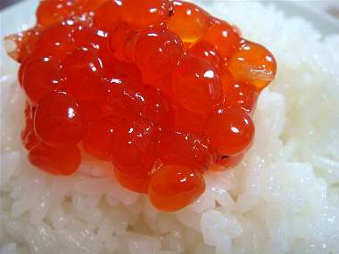 ☆ お取り寄せ ｢イクラ｣ 3種 など