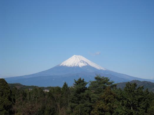 fuji2