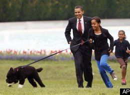 s-US-OBAMA-DOG-large.jpg