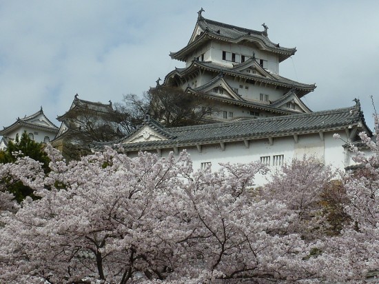 桜と姫路城2.JPG