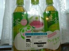 生茶パンダ.jpg