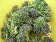 ブロッコリー３.jpg