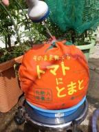 トマトモニター４.jpg