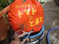 トマトモニター５.jpg