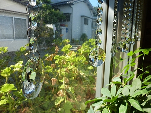 事務所にもかざっております