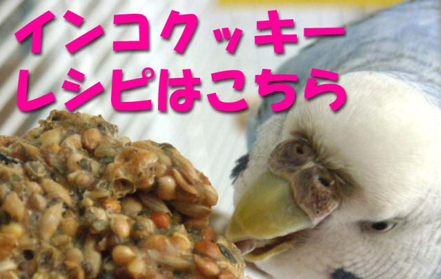 インコクッキーのレシピ