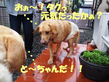 ジェン.jpg