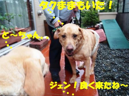 ジェン１.jpg