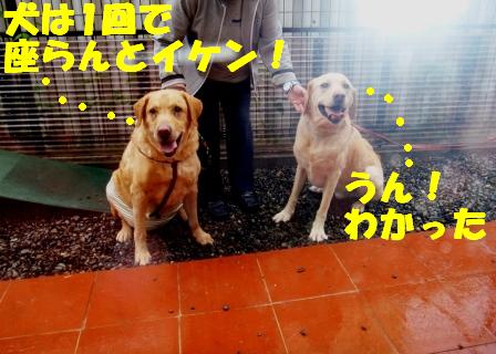 ジェン２.jpg