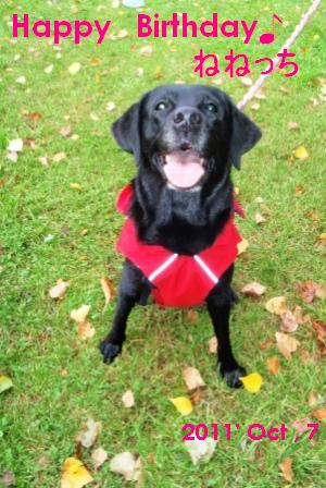 ねねっち10歳１.jpg