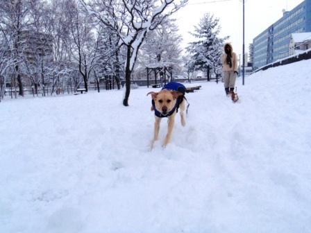 雪化粧６.jpg