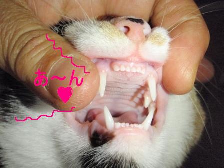 なっこ4.jpg