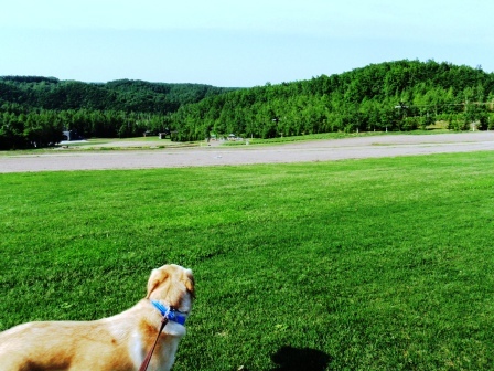 滝野すずらん公園９.jpg