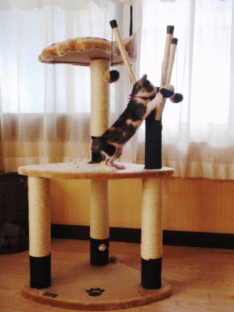 ハウス１.jpg