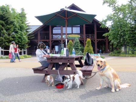 滝野すずらん公園１.jpg