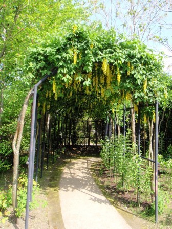 滝野すずらん公園５.jpg