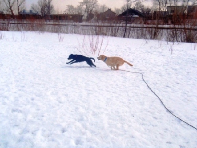 雪７.jpg