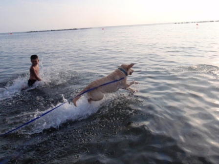 浜益4.jpg