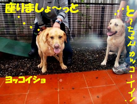 ジェン４.jpg