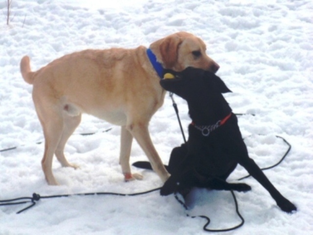 雪２.jpg