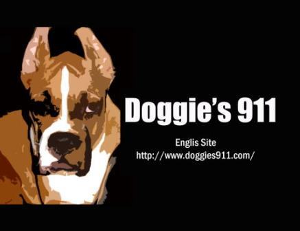 Doggies911Esite.jpg