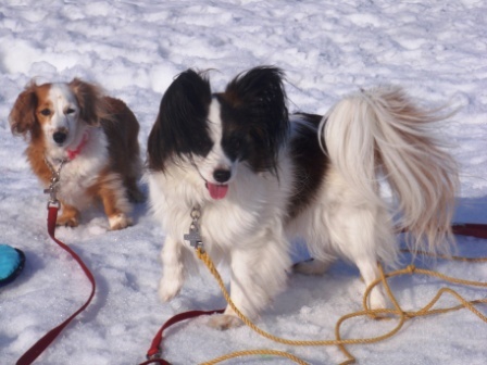 8ヶ月 りんミー.jpg