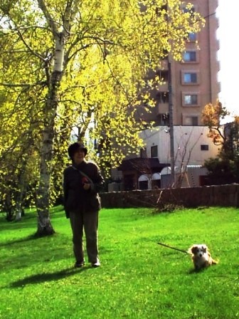 桜６.jpg