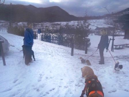 五天山雪3.jpg