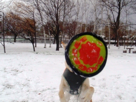 雪ぐぅねね3.jpg