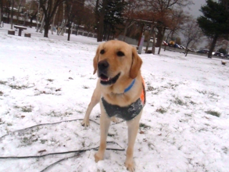 雪ぐぅねね4.jpg