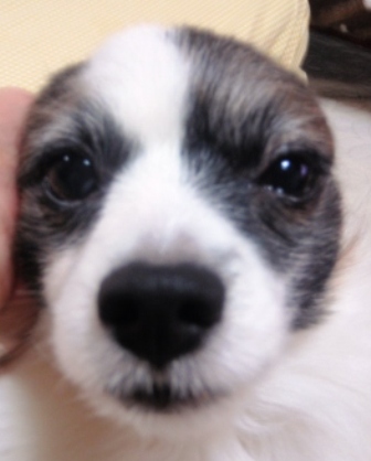 2011みー.jpg