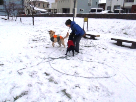 雪ぐぅねね5.jpg