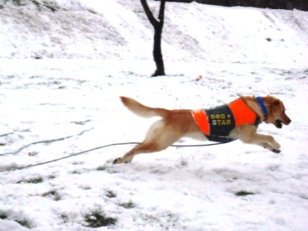 雪ぐぅねね0.jpg